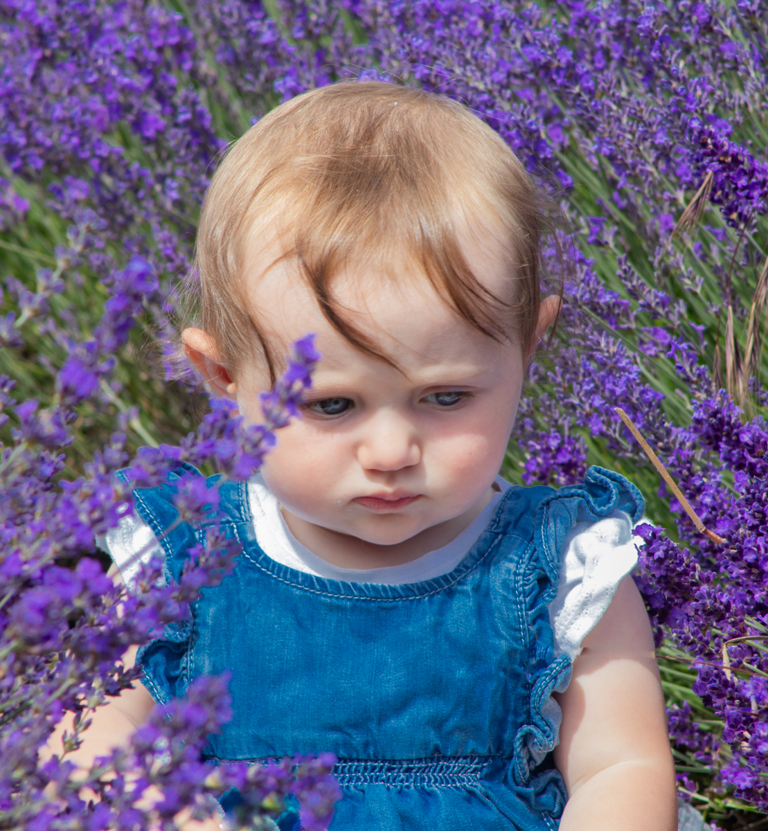 3rd Place PDI – Debbie McIlroy – Deep In Thought