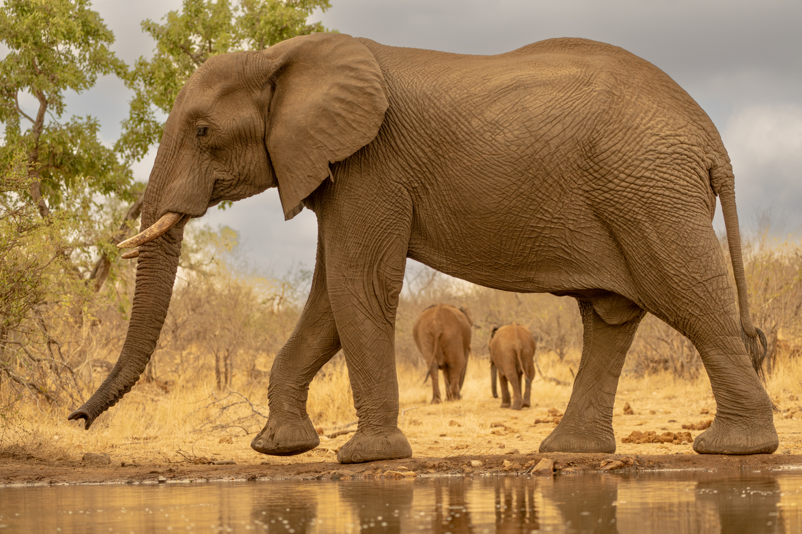 2nd Place - Mike Tandy - Framed