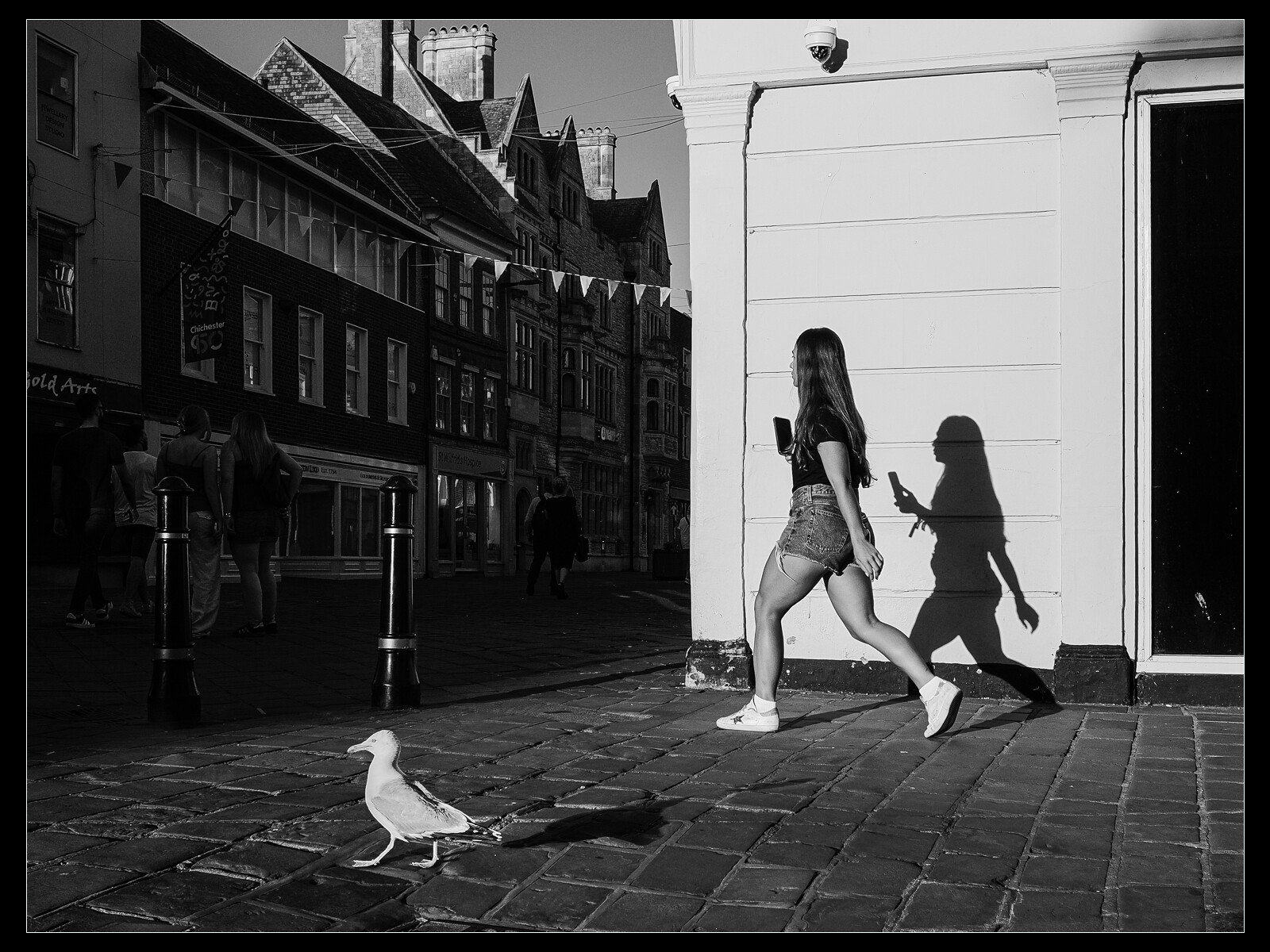 1st Place - Trevor Ager - Walking the Bird