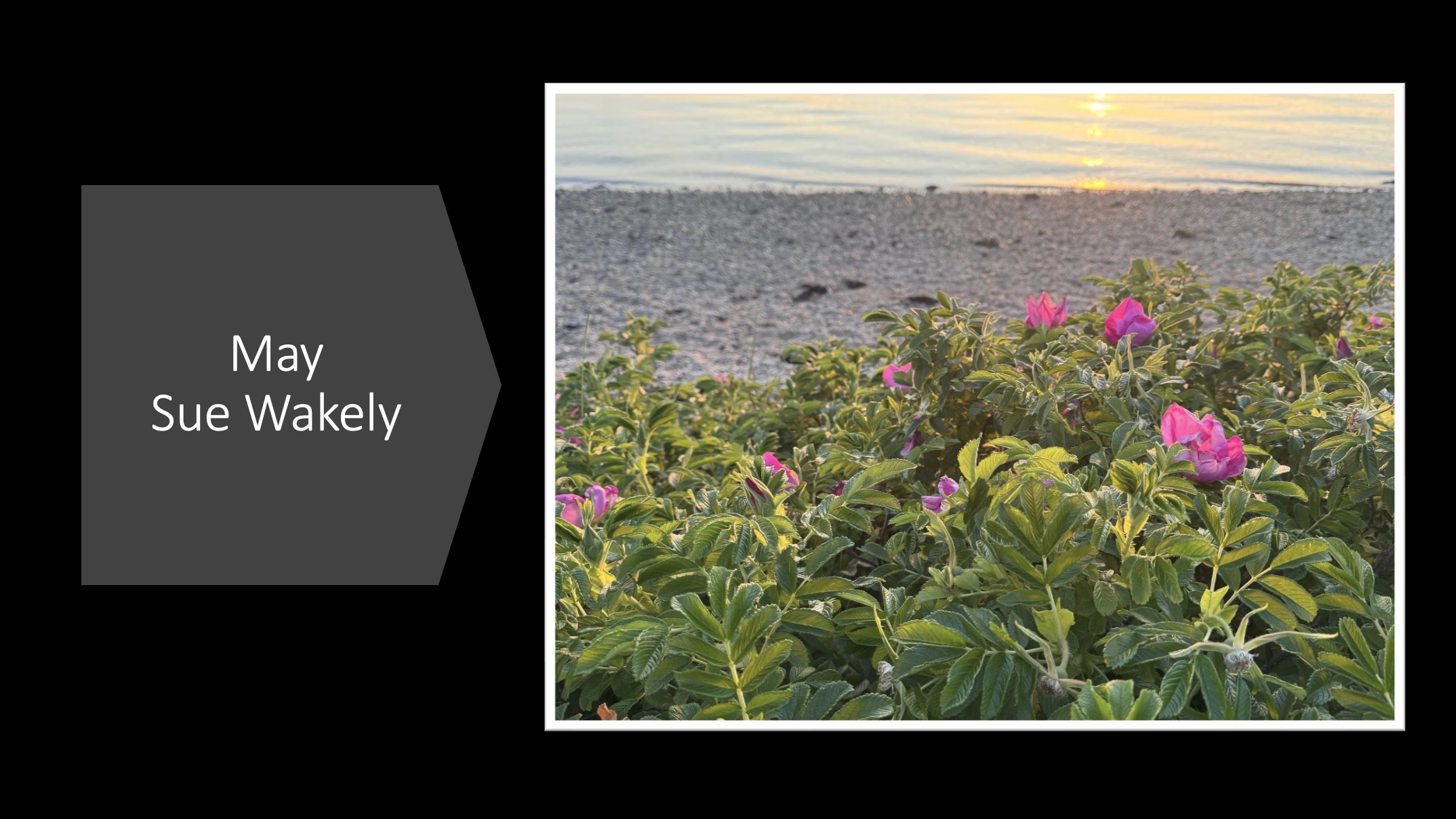 May ‐ Sue Wakeley