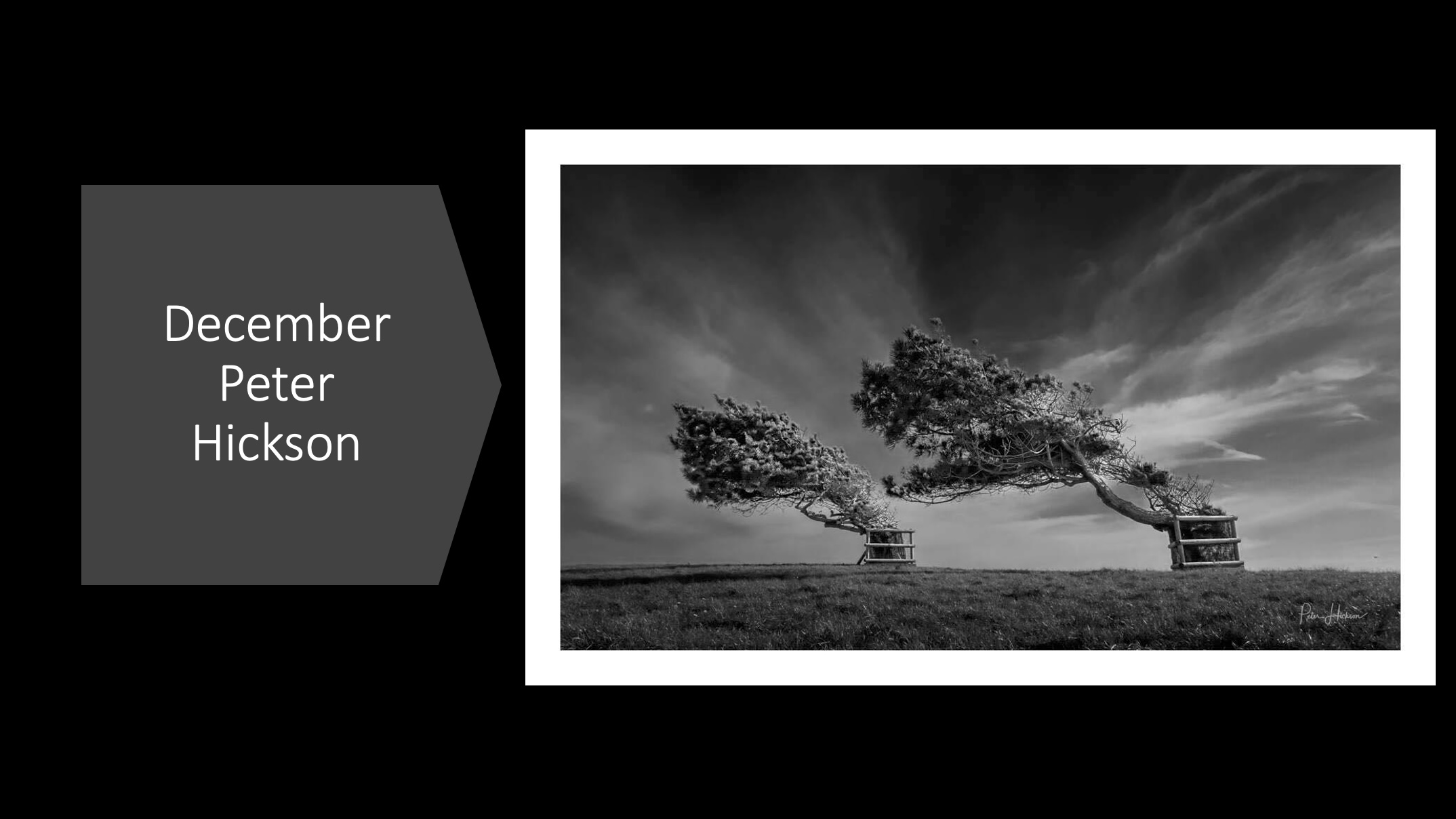December ‐ Peter Hickson